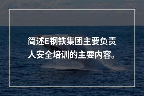 简述E钢铁集团主要负责人安全培训的主要内容。