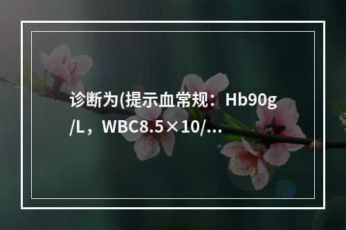 诊断为(提示血常规：Hb90g/L，WBC8.5×10/L，