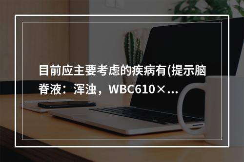 目前应主要考虑的疾病有(提示脑脊液：浑浊，WBC610×10