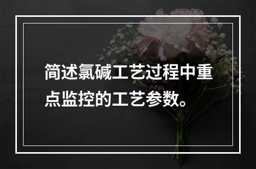 简述氯碱工艺过程中重点监控的工艺参数。