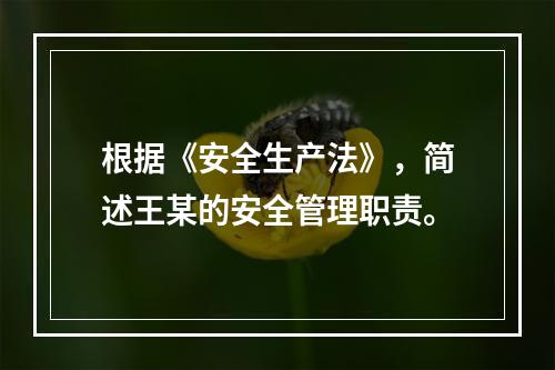 根据《安全生产法》，简述王某的安全管理职责。