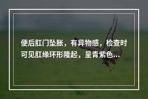 便后肛门坠胀，有异物感，检查时可见肛缘环形隆起，呈青紫色、光