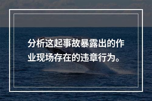 分析这起事故暴露出的作业现场存在的违章行为。