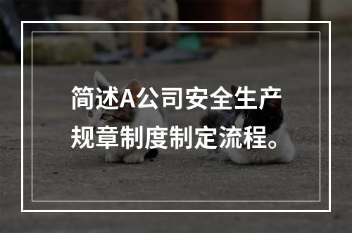 简述A公司安全生产规章制度制定流程。