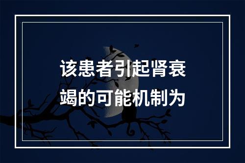 该患者引起肾衰竭的可能机制为