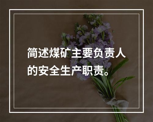 简述煤矿主要负责人的安全生产职责。