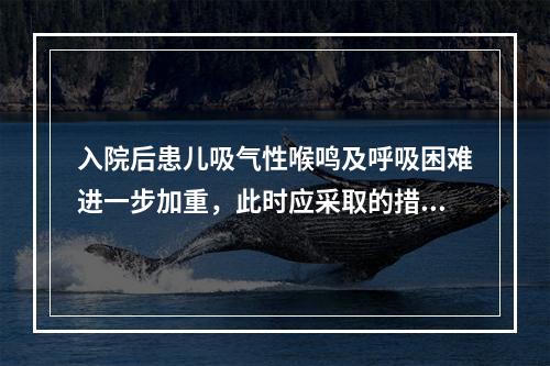 入院后患儿吸气性喉鸣及呼吸困难进一步加重，此时应采取的措施包