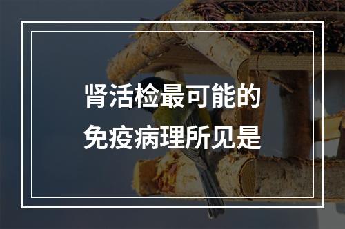 肾活检最可能的免疫病理所见是