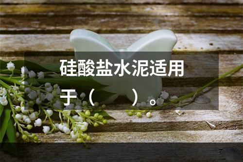 硅酸盐水泥适用于（　　）。