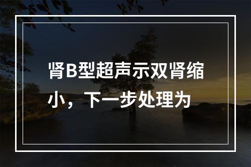 肾B型超声示双肾缩小，下一步处理为