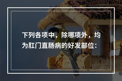 下列各项中，除哪项外，均为肛门直肠病的好发部位：