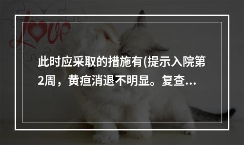 此时应采取的措施有(提示入院第2周，黄疸消退不明显。复查肝功