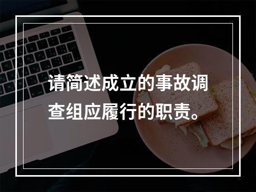 请简述成立的事故调查组应履行的职责。