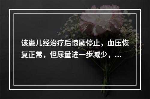 该患儿经治疗后惊厥停止，血压恢复正常，但尿量进一步减少，每日