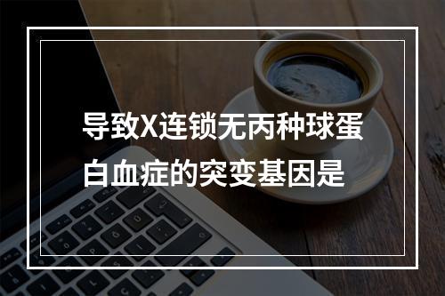 导致X连锁无丙种球蛋白血症的突变基因是