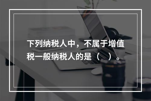 下列纳税人中，不属于增值税一般纳税人的是（　）。