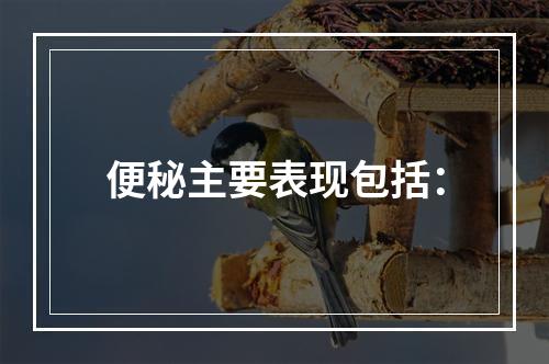 便秘主要表现包括：