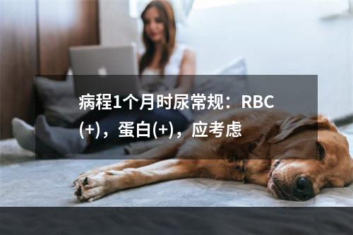 病程1个月时尿常规：RBC(+)，蛋白(+)，应考虑