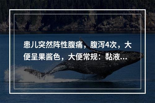 患儿突然阵性腹痛，腹泻4次，大便呈果酱色，大便常规：黏液(+