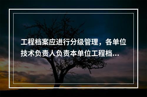 工程档案应进行分级管理，各单位技术负责人负责本单位工程档案的