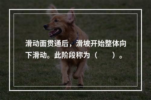 滑动面贯通后，滑坡开始整体向下滑动。此阶段称为（　　）。