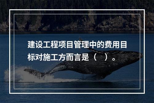 建设工程项目管理中的费用目标对施工方而言是（　）。