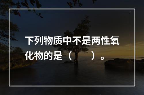 下列物质中不是两性氧化物的是（　　）。