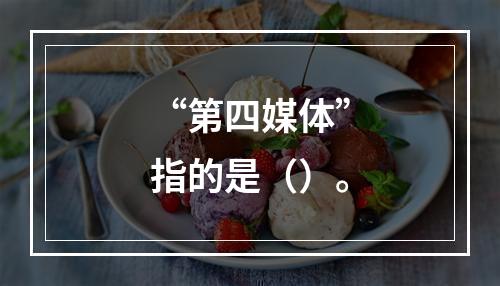 “第四媒体”指的是（）。