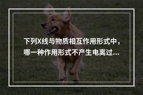 下列X线与物质相互作用形式中，哪一种作用形式不产生电离过程？