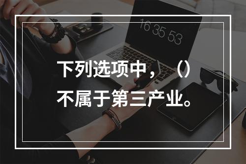 下列选项中，（）不属于第三产业。