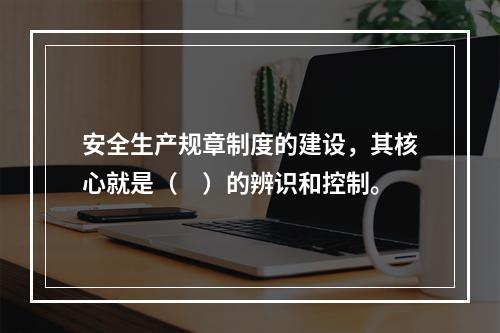 安全生产规章制度的建设，其核心就是（　）的辨识和控制。