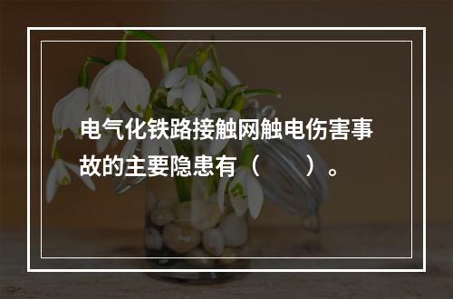 电气化铁路接触网触电伤害事故的主要隐患有（　　）。