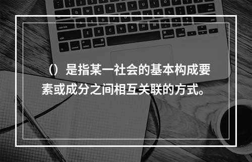 （）是指某一社会的基本构成要素或成分之间相互关联的方式。