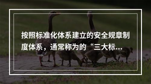 按照标准化体系建立的安全规章制度体系，通常称为的“三大标准体