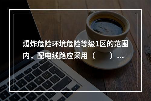 爆炸危险环境危险等级1区的范围内，配电线路应采用（　　）。