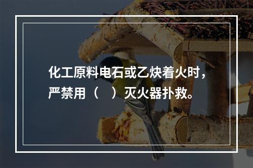 化工原料电石或乙炔着火时，严禁用（　）灭火器扑救。