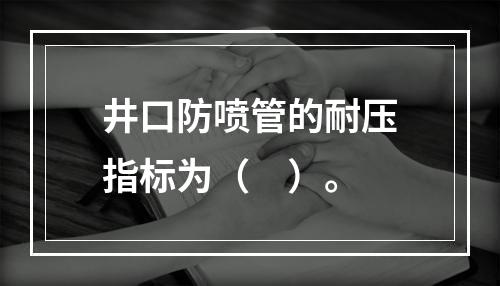 井口防喷管的耐压指标为（　）。