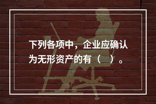 下列各项中，企业应确认为无形资产的有（　）。