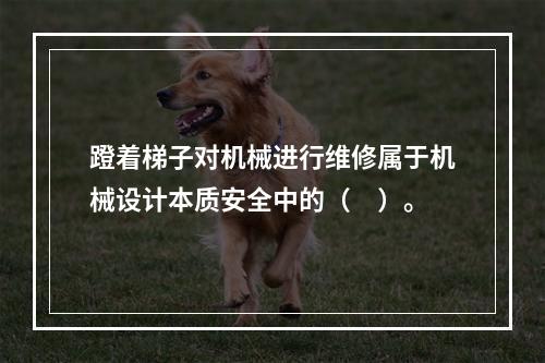 蹬着梯子对机械进行维修属于机械设计本质安全中的（　）。