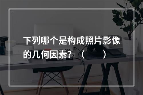 下列哪个是构成照片影像的几何因素？（　　）