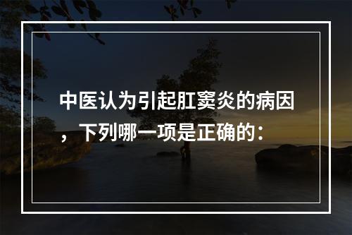 中医认为引起肛窦炎的病因，下列哪一项是正确的：