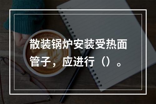 散装锅炉安装受热面管子，应进行（）。