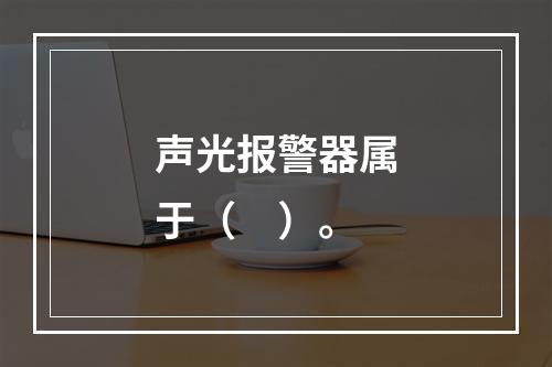 声光报警器属于（　）。