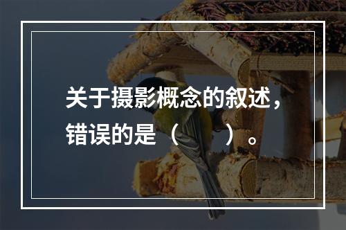 关于摄影概念的叙述，错误的是（　　）。