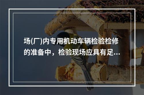 场(厂)内专用机动车辆检验检修的准备中，检验现场应具有足够的