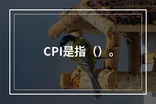 CPI是指（）。