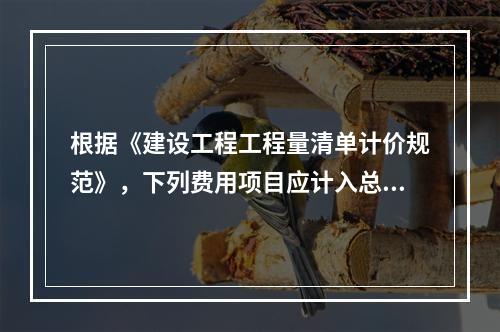 根据《建设工程工程量清单计价规范》，下列费用项目应计入总承包