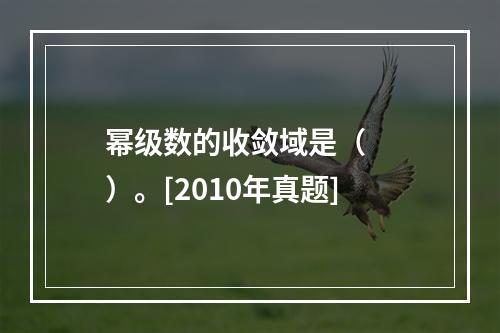 幂级数的收敛域是（　　）。[2010年真题]