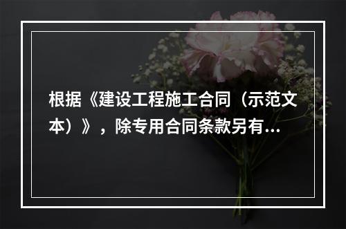 根据《建设工程施工合同（示范文本）》，除专用合同条款另有约定