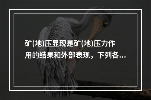 矿(地)压显现是矿(地)压力作用的结果和外部表现，下列各项